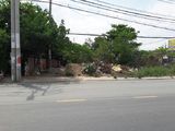 Vợ Chồng Tôi Muốn Bán Ngay Đất Mặt Tiền Quốc Lộ 50, 500M2, Ngang 17M.