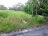 Chính Chủ Cần Bán Xưởng 2000M2, Xưởng Đang Hoạt Động, Giá 5 Tỷ, Quy Đức, Bình Chánh.