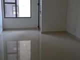 Cho Thuê Officetel Tresor Novaland, Giá Cạnh Tranh Nhất Thị Trường, 11 Tr/tháng. Lh 0903 941 869