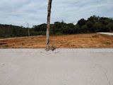 Đừng Mua Dự Án Đất Nền Mà Chưa Đọc Qua Bài Này