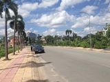 Đất Nền Phân Lô 100M2, Mặt Tiền Ql50, Tt Thị Trấn Cần Đước