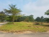 Bán Gấp Lô Đất Gần Ngã 3 Thái Lan, Sát Vòng Xoay 60M, Giá Chỉ 6.5Tr/m2