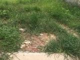 Bán 580m2 Có 335m2 Thổ Cư Giá 3.8 Tỷ Tại Đường Tân Liễu, Hưng Long, Bình Chánh