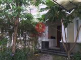 Bán Nhà Biệt Thự Phú Mỹ Hưng Quận 7