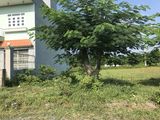 Chính Chủ Bán Gấp Nền Đất Kcn Phúc Long, 100M2 Giá 620 Triệu, Liên Hệ 01695 120363