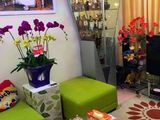 Bán Nhà Phố Bùi Xương Trạch, 36m2, 4 Tầng, 3.2 Tỷ Ô Tô Cách Nhà 15m
