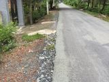 Đất Đầu Tư Giá Rẻ Bình Chánh Mặt Tiền Đường Ô Tô.