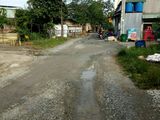 Chính Chủ Bán Đất Mặt Tiền Đường An Phú 20, Diện Tích 125M2, Đường Đất Rộng 7M