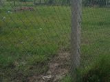 Kẹt Tiền Bán Gấp Lô Đất 2000M2 Đường Quy Đức,Bình Chánh