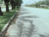 Đầu Tư Hôm Nay - Sinh Lời Ngày Mai