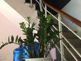 Nhà Hiếm, Mặt Phố Xã Đàn, 26M2, 5 Tầng, Ô Tô Đỗ Cửa, Kinh Doanh Tuyệt Đỉnh, Giá 14 Tỷ