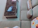 Cần Bán Nhà Kqh Mê Linh , P9, Tp Đà Lạt 77,62m2 Giá 2,4 Tỷ