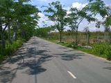1800M2 Đất Thổ Cư Và Nhà Ở, Mt Đường Long Thới, Xã Long Thới, Huyện Nhà Bè, Lh: 0935 771 906