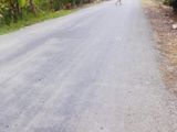 1,3 Tr/m2 Đất Hai Mặt Tiền, Đường Oto Xã Hưng Long, Bình Chánh.