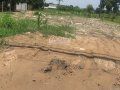 Kinh Tế Khó Khằn Nên Bán 575 M2 Đất Thổ Cư, ,hưng Long,bình Chánh Giá: 3.7 Tỷ.