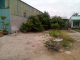 Cần Tiền! Bán Gấp 530M2 Đất, Shr, Lê Văn Lương, Nhà Bè. Giá Chỉ: 2.25 Tỷ. Lh: 01229.610.461
