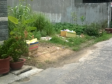 10X22M2 Đất Thổ,Shr, 2Mt Đường Giồng Cát.Chính Chủ