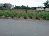 Cần Tiền Chi Trả Nợ Tôi Chính Chủ Bán 728M2 Đất Vườn Mt 4C, Xã Đa Phước, Bình Chánh