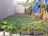 Bán Đất Thổ Cư Đường Phạm Thị Giây , 5 X 20M, Sổ Đỏ Riêng