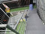 Nhà 6 Tầng Mới Mặt Ngõ Phố Đại La, 35m2, Mt 3.5, 3.6 Tỷ.