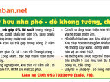 Bán Nhà Phố Biệt Thự Chính Chủ Tt Bến Lức Tỉnh Long An