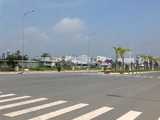 Đất Đầu Tư Ql50, Phong Phú, B.Chánh, 80, 100M2, Shr
