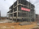 Đất Nền Kđt Nam Vĩnh Yên