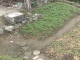 Bán Đất Rẻ Nhất Thanh Hóa Sổ Đỏ Chính Chủ