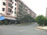 Cho Thuê Chung Cư Kcn Tân Bình Quận Tân Phú Lô B Lầu 1 Dt 46M Giá 4Tr