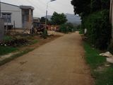 Bán Đất Thổ Cư Phạm Ngũ Lão, Cách Vanh Đai Chỉ 500M Giá 420Tr. Lh 0945954338