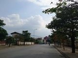 Bán Đất Phân Lô Khu Đô Thị Mới Trâu Quỳ, Gia Lâm Dt:129m2 Lh:0971754454-01666104057