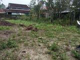 Đất Đẹp 345 Triệu 100M2 Đường Ô Tô Thành Phố Huế