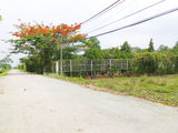 Cực Hot!!! 1400M2 Đất Chỉ 970Tr, Shr, Long Thới Nhà Bè