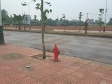 Bán Đất Liền Kề 100m Tại Khu Đô Thị Nam Vĩnh Yên