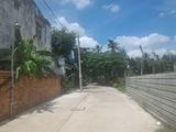 Bán Đất Đường 38, P. Hiệp Bình Chánh, Thủ Đức. 375m2 – 5 Tỷ.