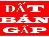 Chính Chủ Bán Gấp 2450m2, Lô Góc 3 Mặt Tiền Ql 51, Ngay Chợ Tân Mai Hướng Về Vũng Tàu, Tiện Kinh Do