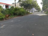 Bán Nền Kdc Nông Thổ Sản - Dt 120M2 - Hướng Đông Nam - Giá 990 Triệu - Lg 20M - Lh 0986 184 837 (Sư