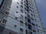 Cần Bán Căn Hộ Full House Đường Số 7 Tên Lửa Gần Eon  Bình Tân 