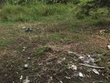 Bán Đất Dịp Giáng Sinh 2017, 1009 M2 Giá 2 Tỷ, Xã Qui Đức, Bình Chánh.