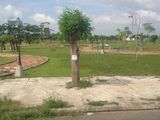Cần Nhượng Lại Mấy Lô Đất Mặt Tiền Gần Chợ