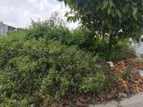 Bán Nền Biệt Thự Kdc Long Thịnh