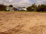 Chính Chủ Bán 380m2 Thổ Cư (10x 38m ) Đường 835 Giá 4.2Tr/m2