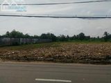 Bán Đất Thổ Cư Diện Tích Lớn 1.050M2, Mt Đường Nguyễn Hữu Trí, Giá 7 Tỷ 350 Có Sổ, Lh 0931785818