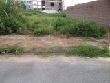 Bán Đất Đấu Giá 31Ha-Trâu Quỳ, Gần Chục Chính, Dt 125M2, Mt 7,2M. Lh 0976955619