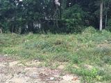 Đất 2 Mặt Tiền Đường Ô Tô Phường Đúc Thành Phố Huế