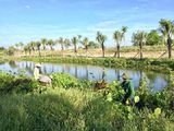 Cơ Hội Đầu Tư Đất Biệt Thự Fpt City - Cơ Hội Cuối Năm - Sinh Lời Đầu Năm
