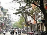 Tòa Nhà Mt Nguyễn Đình Chiểu, P. 6, Quận 3, Dt: 7X20M, Hầm 7 Lầu, Giá 62 Tỷ