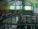 Nhà Mặt Tiền Nguyễn Văn Trổi 5.5X30 M Lộ 8M