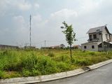Đất Chính Chủ Thổ Cư, Cần Bán Gấp Nên Giá Rẻ.