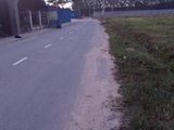 Đất Chánh Phú Hòa, Bến Cát, Bình Dương